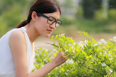 动漫拔萝卜热门动漫推荐
